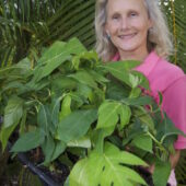 Diane Ragone w Breadfruit plugs ©JW (1)